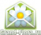 Логотип компании Доставка цветов Гранд Флора (ф-л г.Павлово)